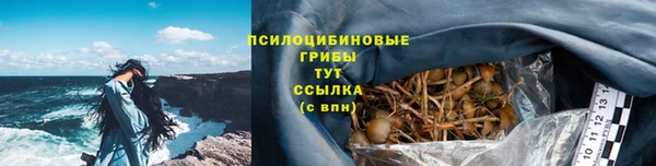 стаф Арсеньев