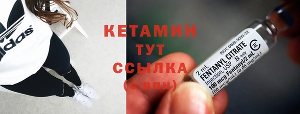 стаф Арсеньев