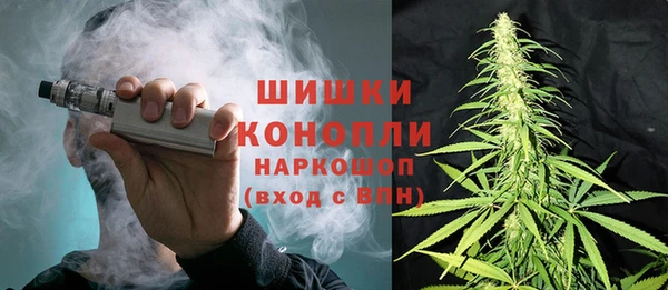 стаф Арсеньев